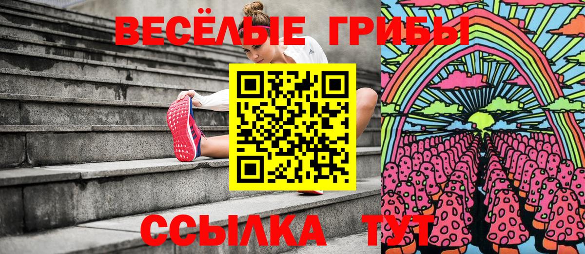 Псилоцибиновые грибы GOLDEN TEACHER Тайшет