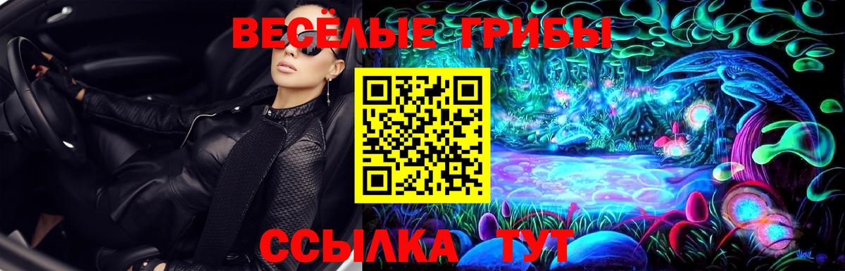закладки  Вход с VPN  Тайшет  Галлюциногенные грибы GOLDEN TEACHER 